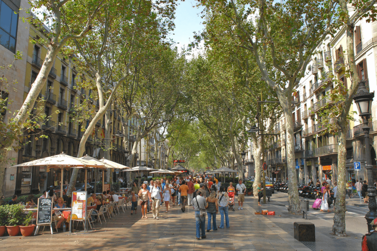 Barcelona Experts Guide & transport Les Rambles