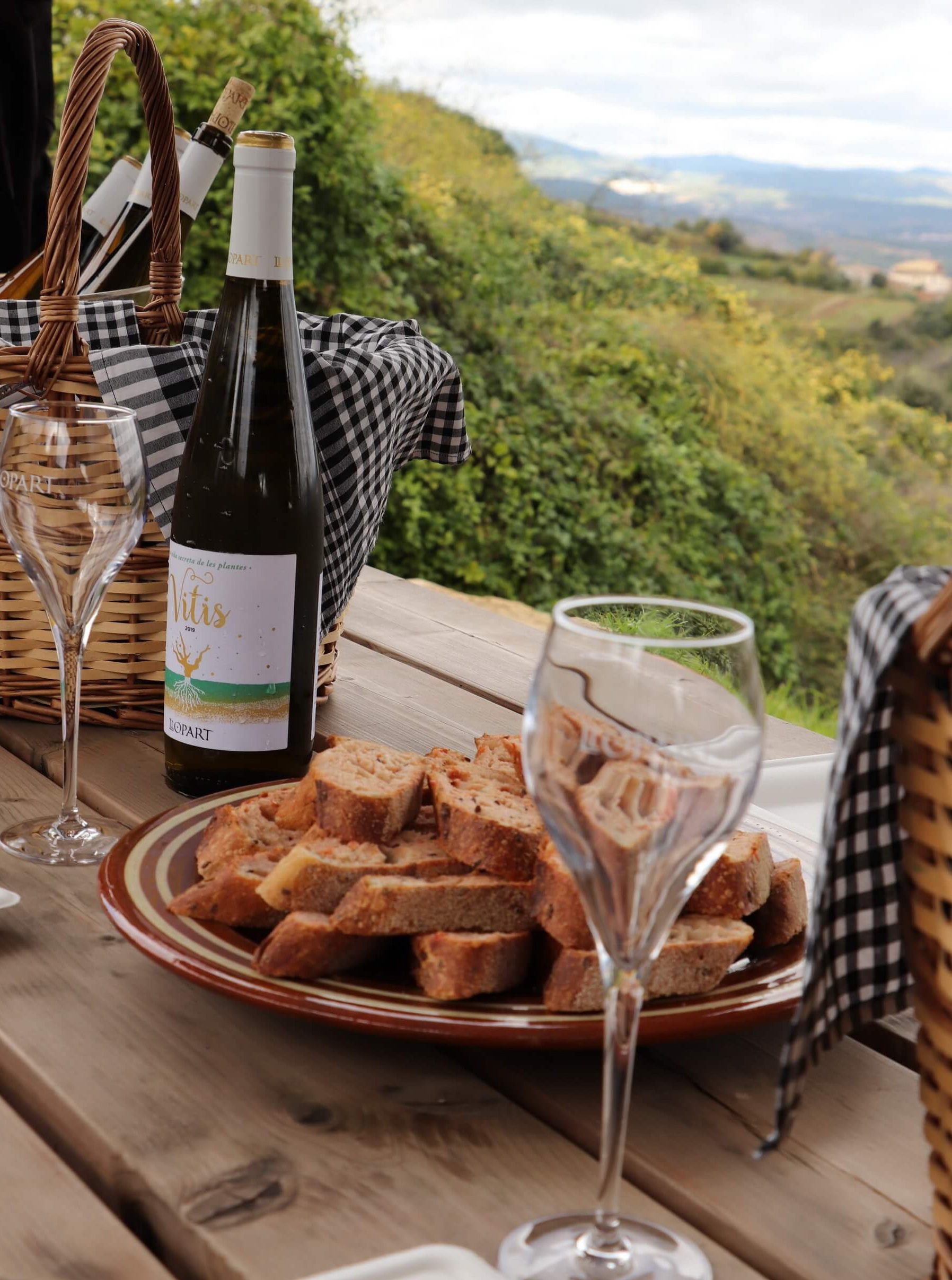 Barcelona Experts Wine and Cava Penedes Tour